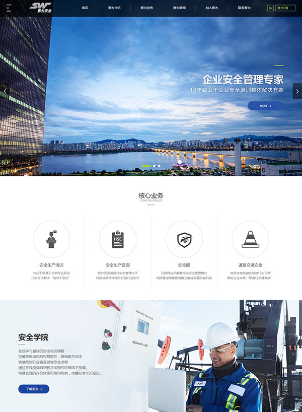 深圳市賽為安全技術品牌網站建設案例