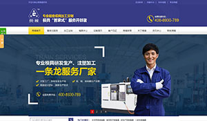 東莞市莞模電子營銷型網(wǎng)站建設案例